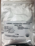ILDONG Lactobacillus plantarum IDCC 3501